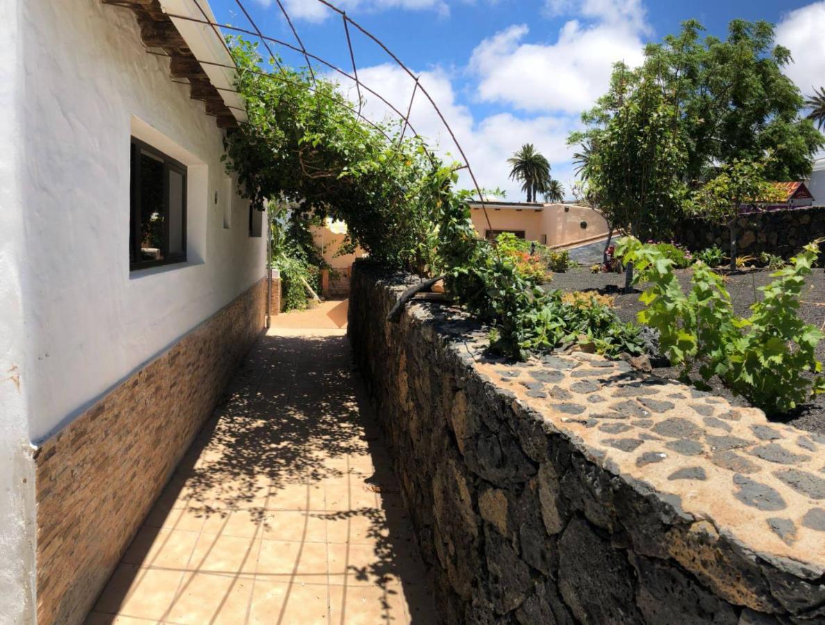 Casa Palmera Y Casa Datil Haría Eksteriør bilde