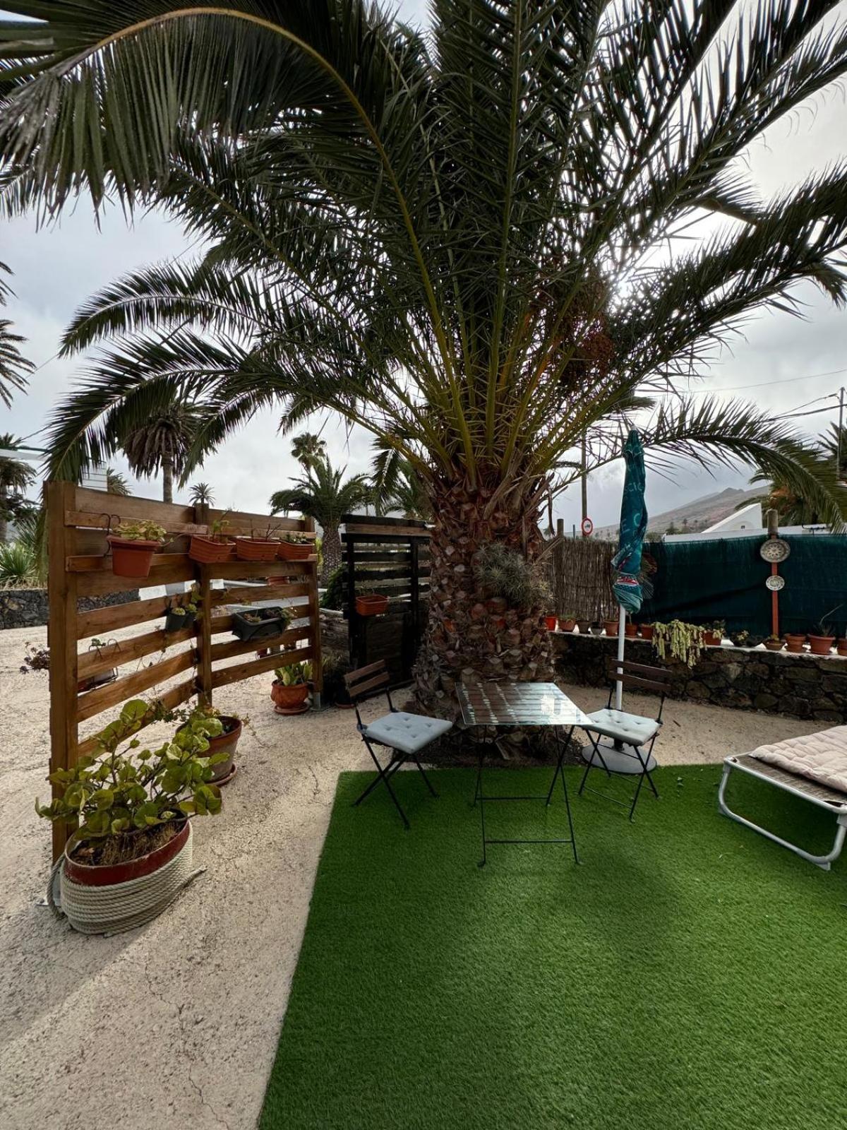 Casa Palmera Y Casa Datil Haría Rom bilde